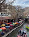 monetzamora_ Altpins Profile Picture
