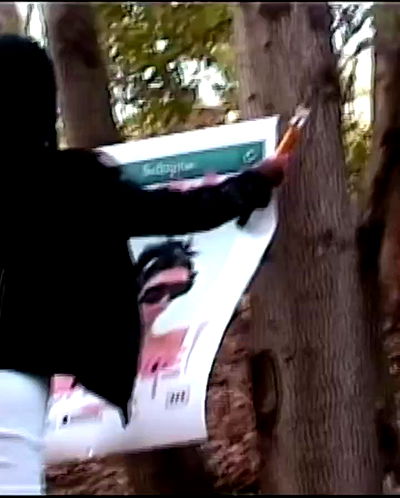 dreambabydrea dreambabydrea archive video