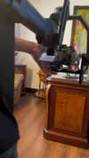 dianavgalvis Altpins Profile Picture