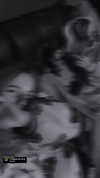 fletcherr_1 Altpins Profile Picture