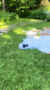 alice_delish Altpins Profile Picture