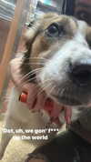 toharb_ Altpins Profile Picture