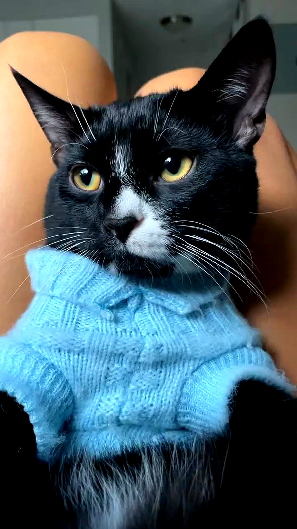 sydney_melman archive video preview
