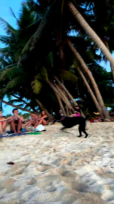 valeria_lukin valeria_lukin archive video