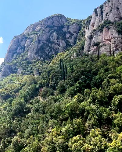 nicole.shpo nicole.shpo archive video