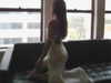 iblowurmind Altpins Profile Picture