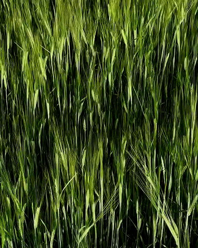 quincymood quincymood archive video