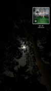 bloodyfukk Altpins Profile Picture