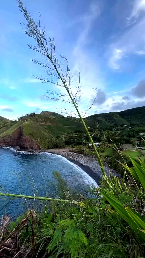 zommmbri archive video preview