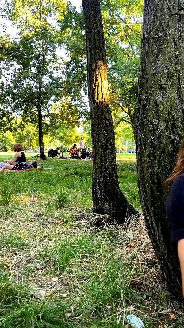 liiuuar archive video preview