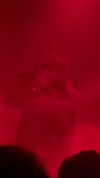 vngelbaby Altpins Profile Picture