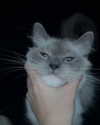 protheme Altpins Profile Picture