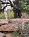 liem_sadan Altpins Profile Picture