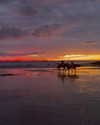 _michaelanee Altpins Profile Picture