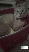 valeriecastellano Altpins Profile Picture