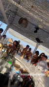 alexandra_stmtk Altpins Profile Picture