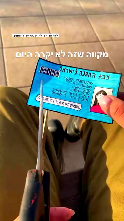 tuliprivet tuliprivet archive video