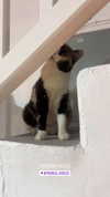 natalee.007 Altpins Profile Picture
