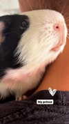 la.vica_ Altpins Profile Picture