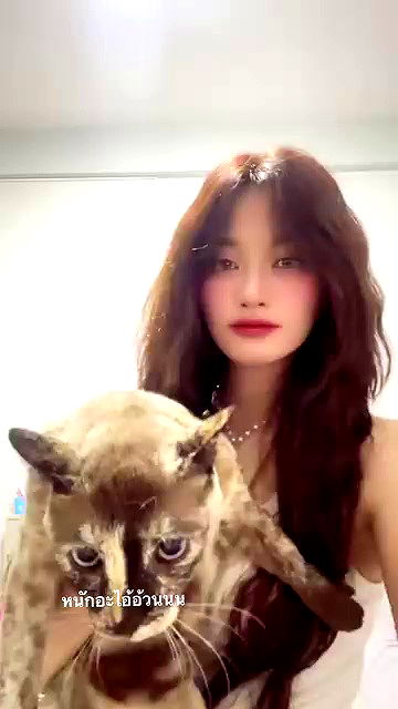 oqr0_ oqr0_ archive video