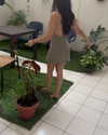 dianavgalvis Altpins Profile Picture