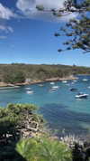 itshollynewton Altpins Profile Picture