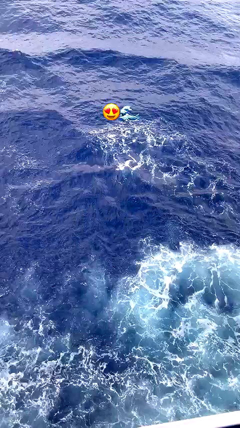 katia_z.k archive video preview