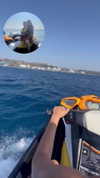 katia_z.k Altpins Profile Picture