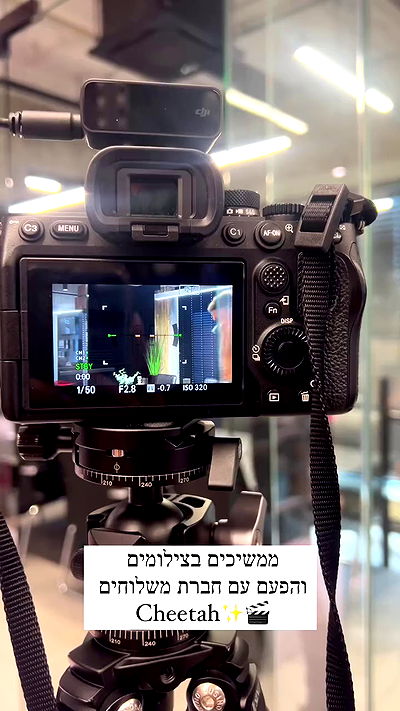 emily.otaku emily.otaku archive video