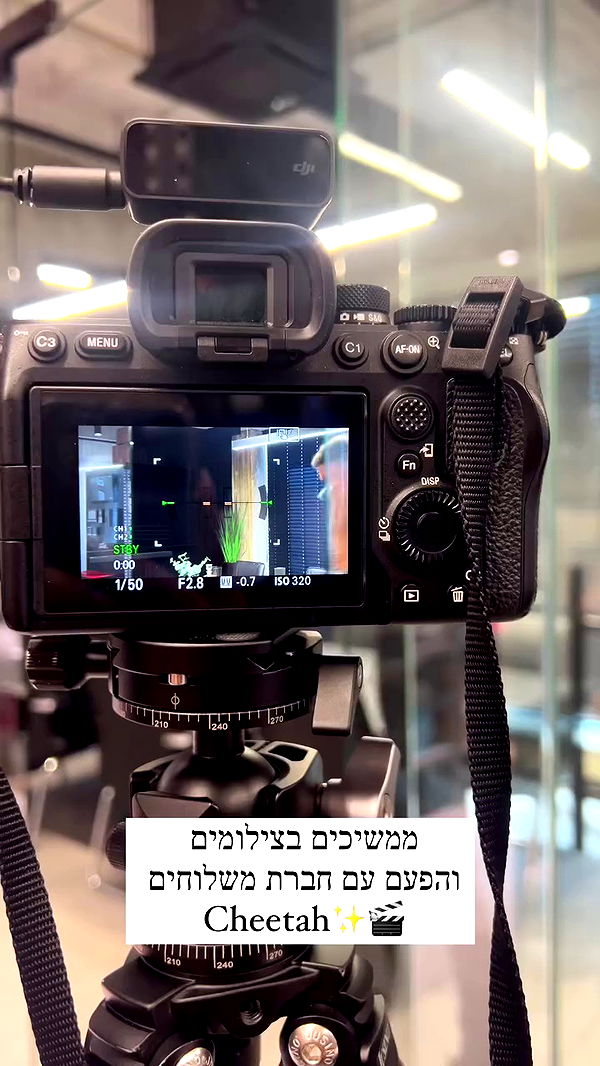 emily.otaku archive video preview