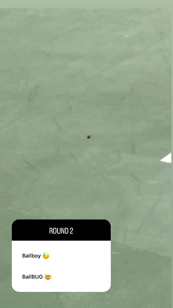 teafl0wer archive video preview