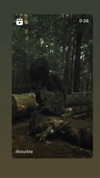 teafl0wer Altpins Profile Picture