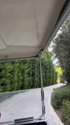 shira_karvat Altpins Profile Picture