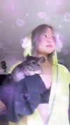 petitekitti Altpins Profile Picture