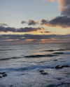 itshollynewton Altpins Profile Picture
