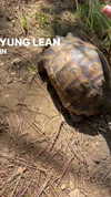lapahappa1 Altpins Profile Picture
