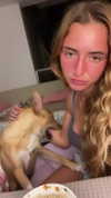 liem_sadan Altpins Profile Picture