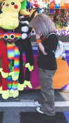 petitekitti Altpins Profile Picture