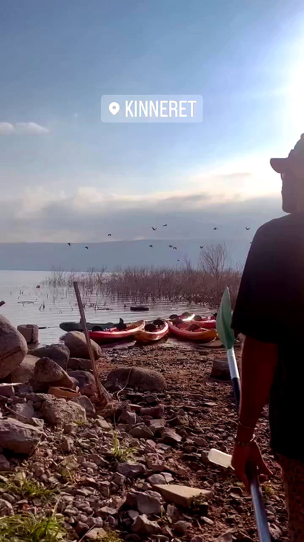 edin.karyn archive video preview