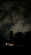 avitalll._ Altpins Profile Picture