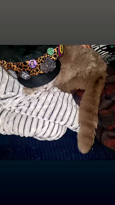 shayli_or shayli_or archive video