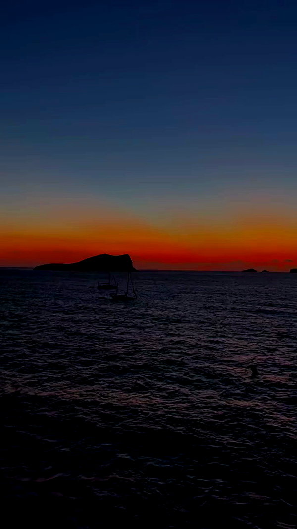 _mar05 archive video preview