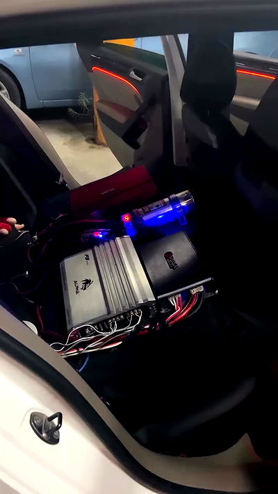 simp_for_cats_ simp_for_cats_ archive video