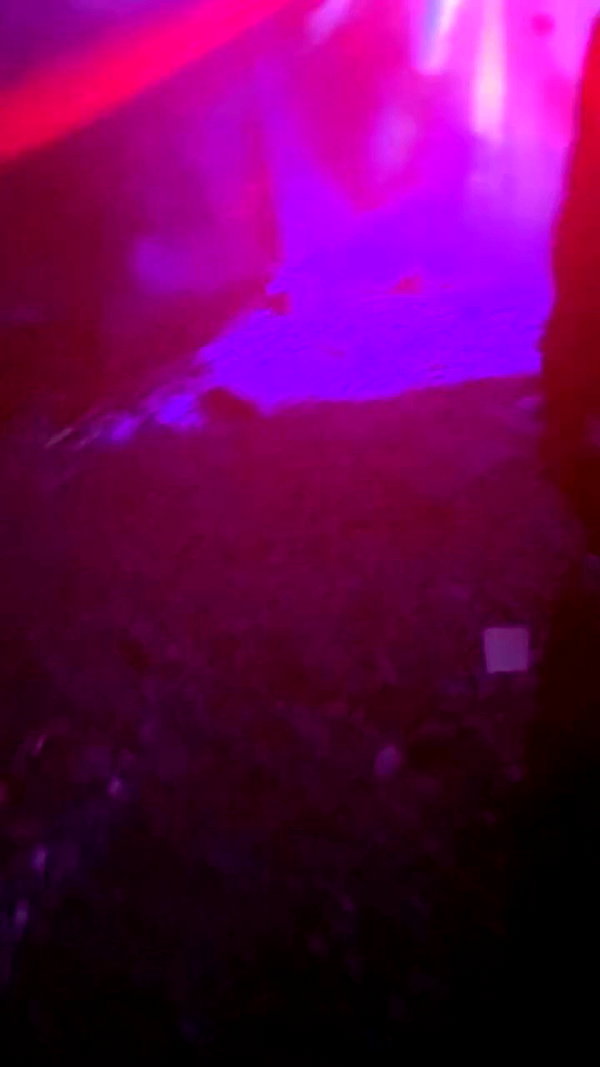 avitalll._ archive video preview