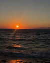 noa_mendel_ Altpins Profile Picture
