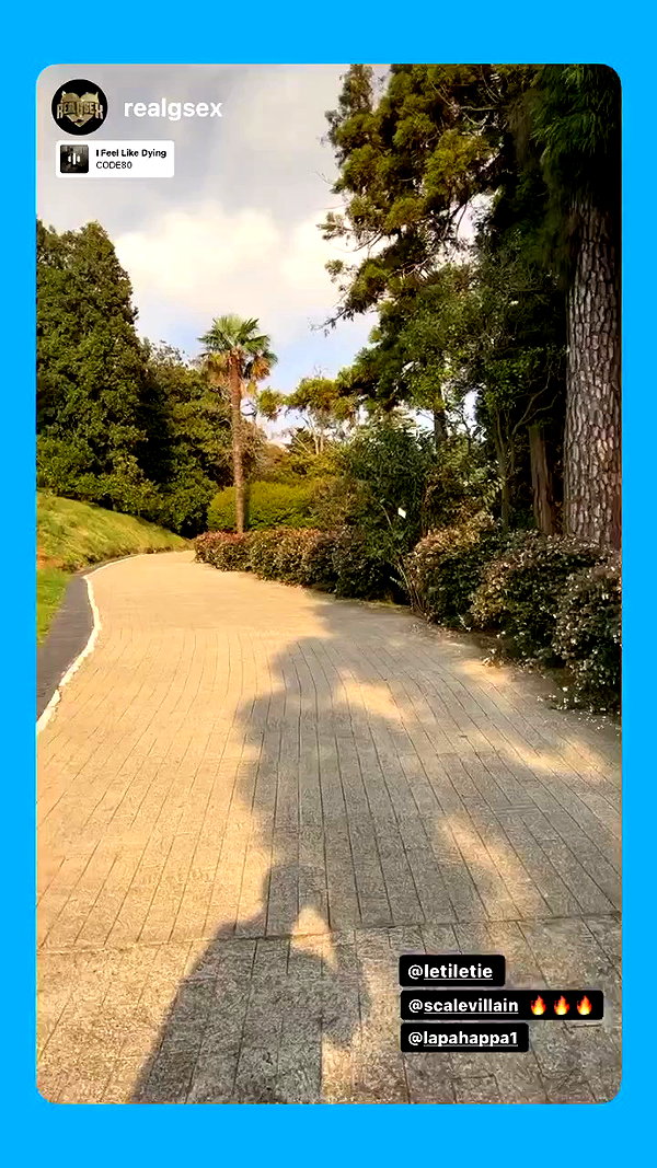 lapahappa1 archive video preview