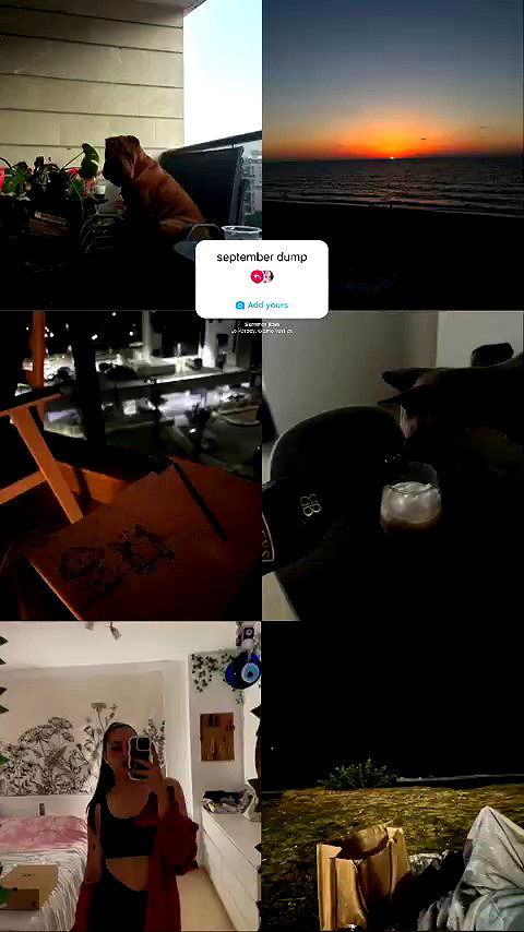 litalzikin archive video preview