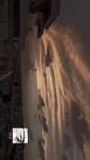 daniela.pritika Altpins Profile Picture
