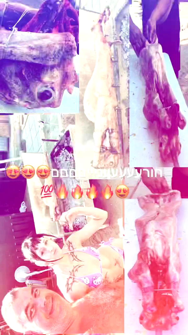 xzot1_met4xx archive video preview