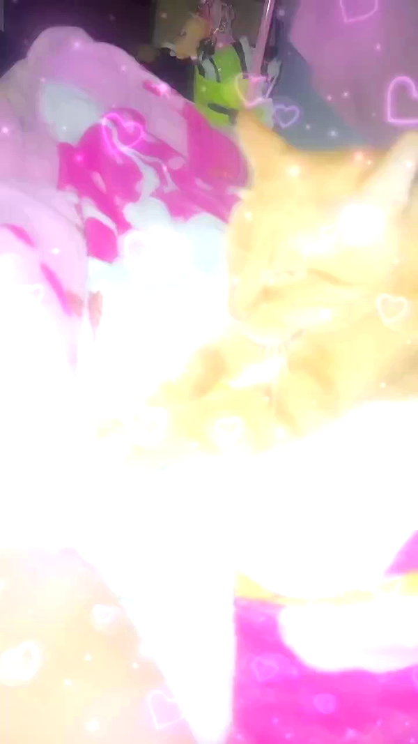 petitekitti archive video preview